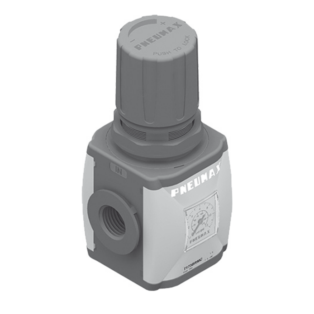 PX AIR+ ROZ.2 REGULATOR +MAN.(RM) 3/8 0-12BAR ZŁĄCZA TECHNOPOLIMER 