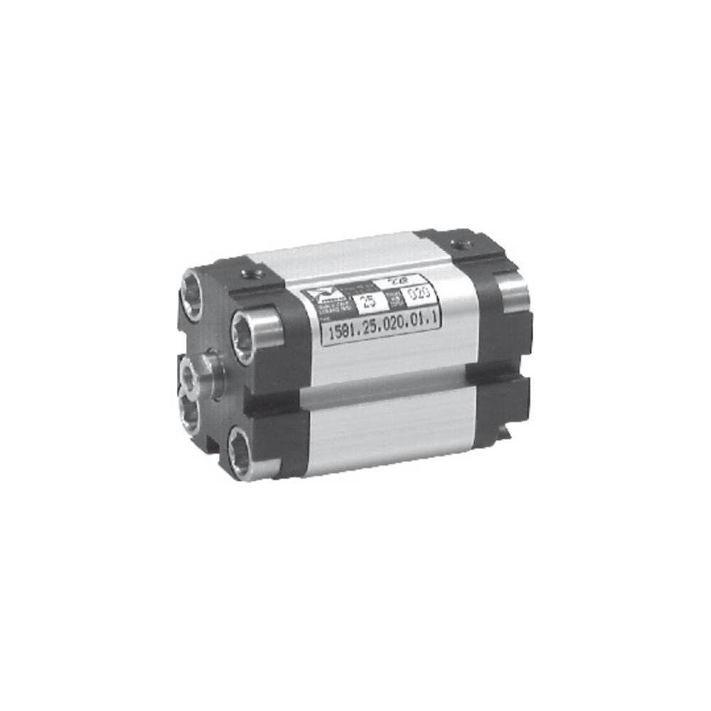 PX SIŁOWNIK EUROPE ŚR.80 SKOK 115MM UNITOP TŁOCZ.GW